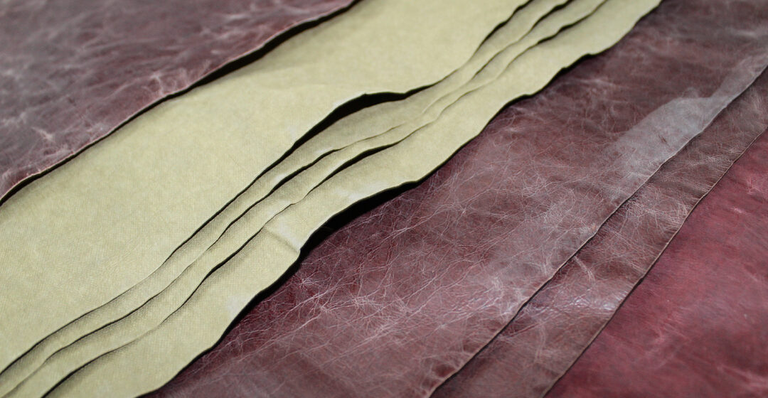 Is ‘Vegan Leather’ Better For The Planet? Lessons From Our Journey Towards Plant-Based Products